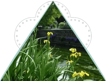 Flora & Nature Inspiration • Travel & Art